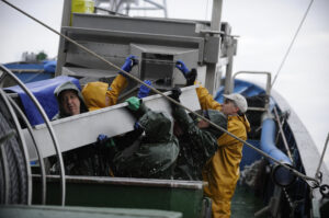 Higiene y buenas prácticas en las embarcaciones de pesca